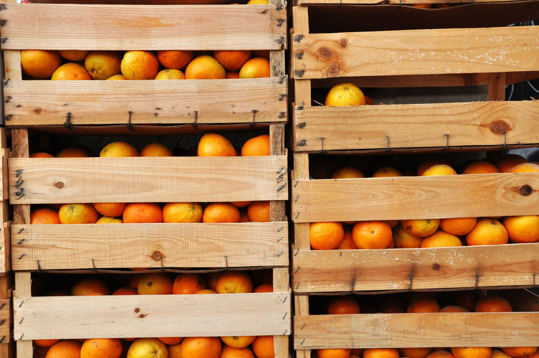 Reduce food waste